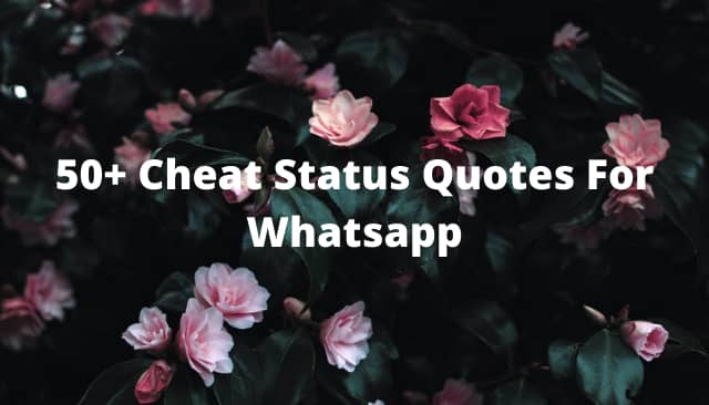 Cheat Quotes Status For Whatsapp
