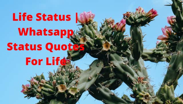 160+ Life Status | Whatsapp Status Quotes For Life