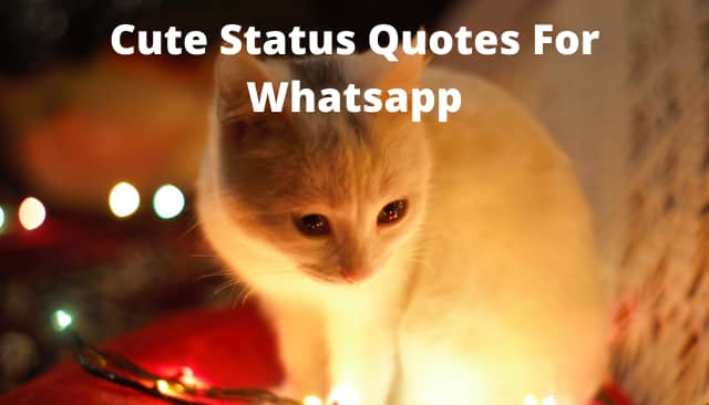 Cute Quotes Status For Whatsapp
